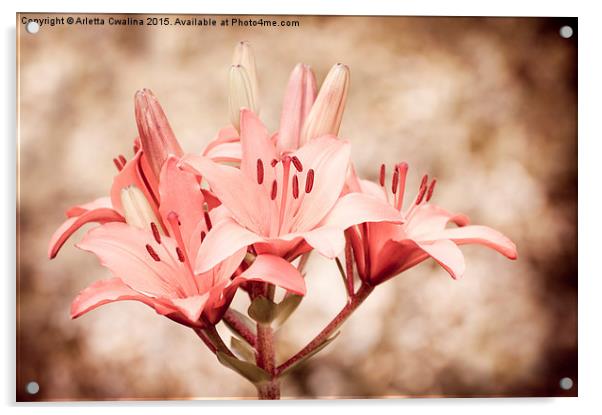 Flowering Lilium sepia Lily Acrylic by Arletta Cwalina