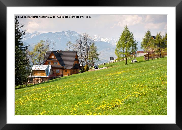 Bucolic spring meadow and wooden house Framed Mounted Print by Arletta Cwalina