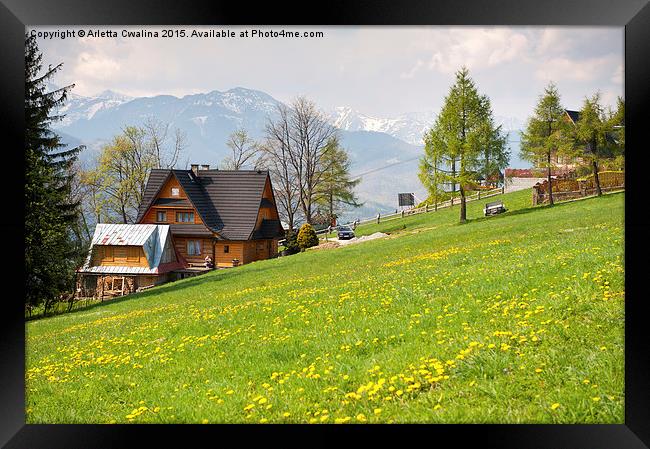 Bucolic spring meadow and wooden house Framed Print by Arletta Cwalina