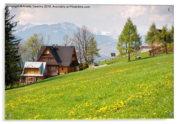 Bucolic spring meadow and wooden house Acrylic by Arletta Cwalina
