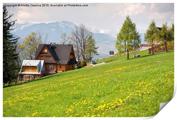 Bucolic spring meadow and wooden house Print by Arletta Cwalina
