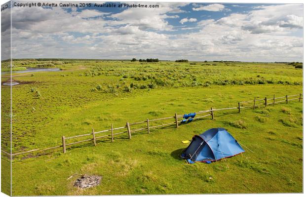 Camping tent and grass expanse landscape  Canvas Print by Arletta Cwalina