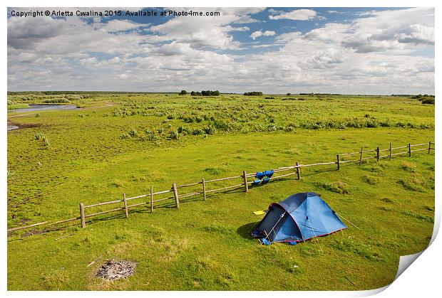 Camping tent and grass expanse landscape  Print by Arletta Cwalina