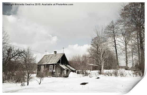 dilapidated wooden house in winter Print by Arletta Cwalina