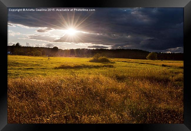 Breathtaking sunset above meadow Framed Print by Arletta Cwalina