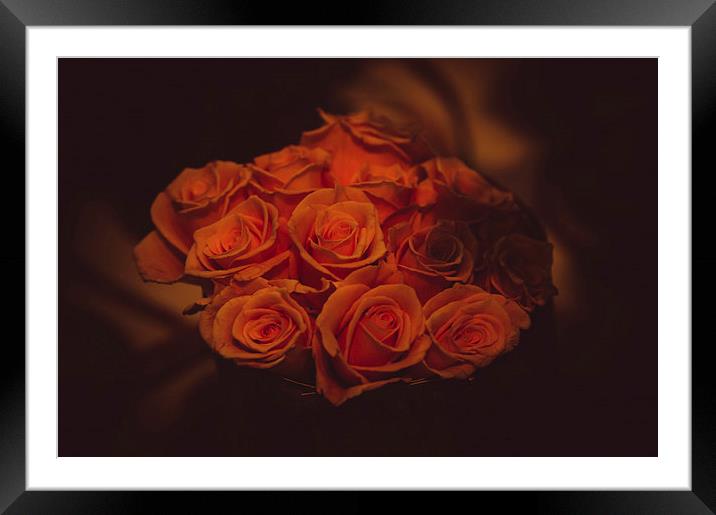  Dutch Yellow Roses  Framed Mounted Print by Jenny Rainbow