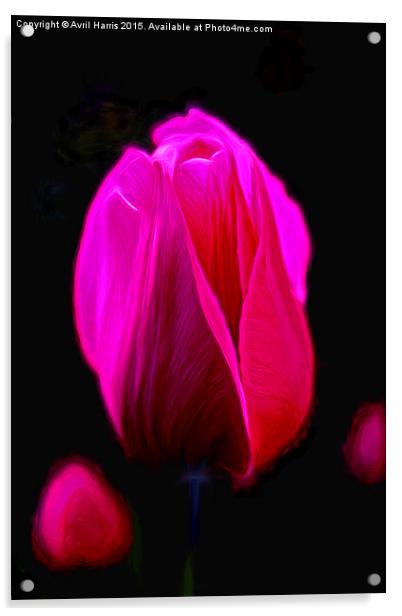  Purple Tulip  Acrylic by Avril Harris