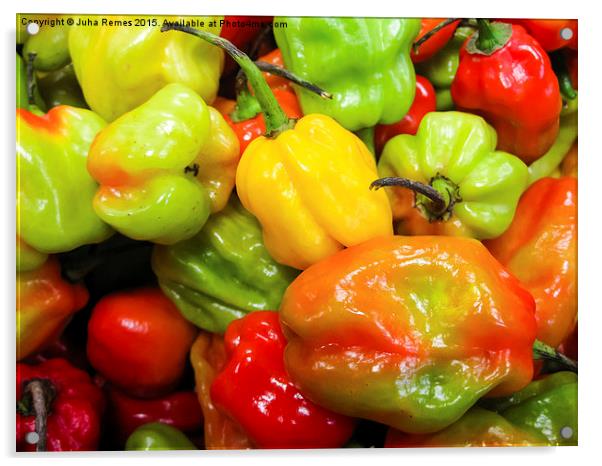 Scotch Bonnet Chilli Peppers Acrylic by Juha Remes