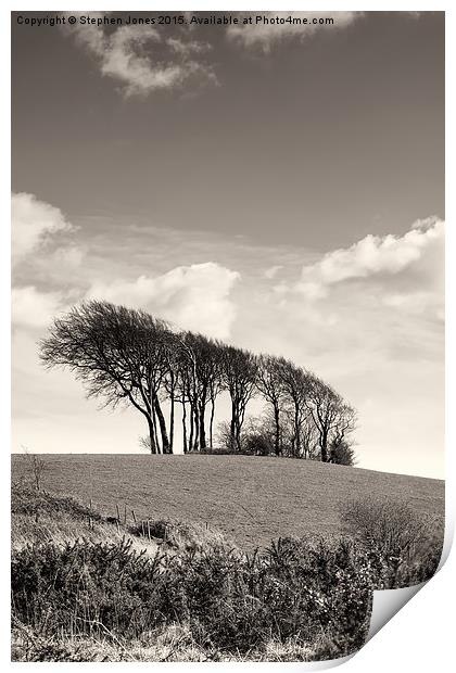  Tree Ridge Print by Stephen Jones