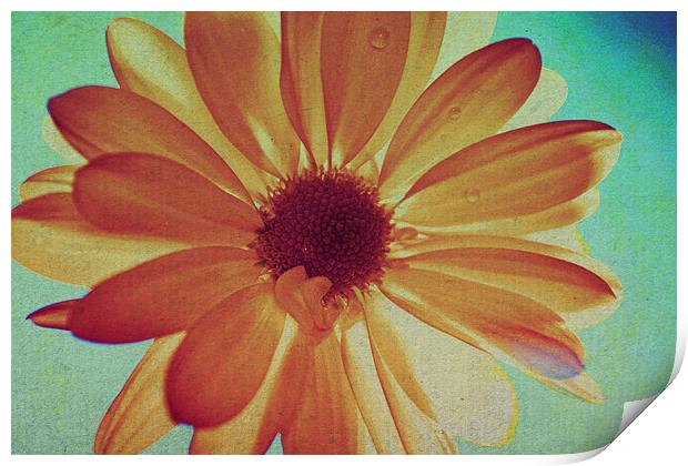  Yellow daisy Print by Nadeesha Jayamanne