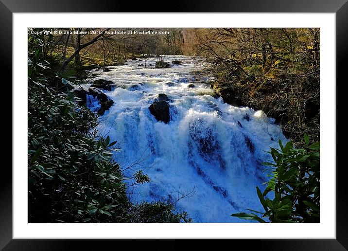  Swallow Falls Betws-y-Coed  Framed Mounted Print by Diana Mower