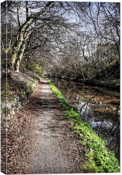 Union Canal Towpath Canvas Print by Tom Gomez