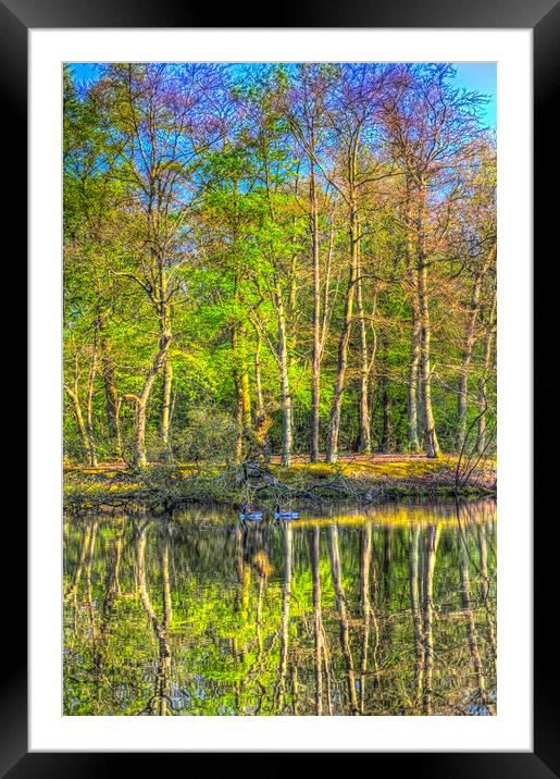 Reflections From The Pond Framed Mounted Print by David Pyatt