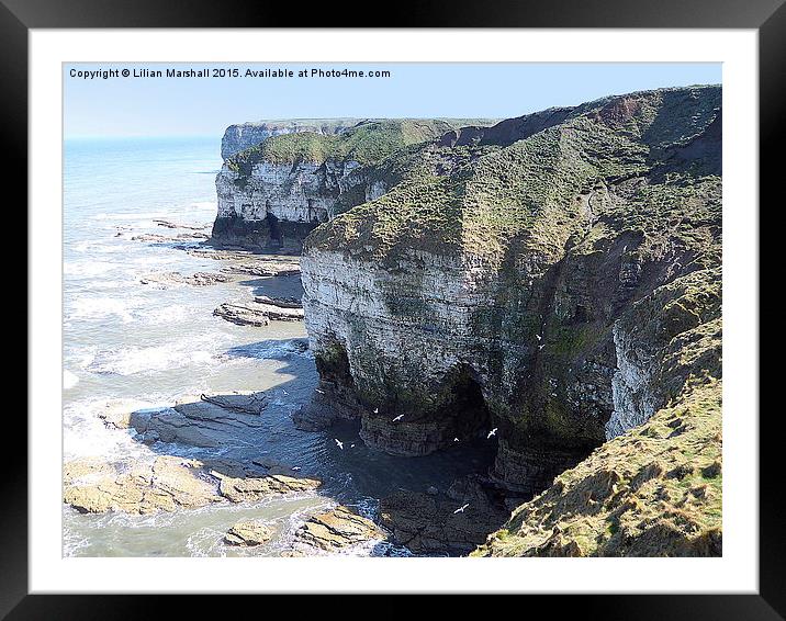  Flamborough cliffs.  Framed Mounted Print by Lilian Marshall