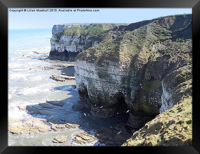  Flamborough cliffs.  Framed Print by Lilian Marshall