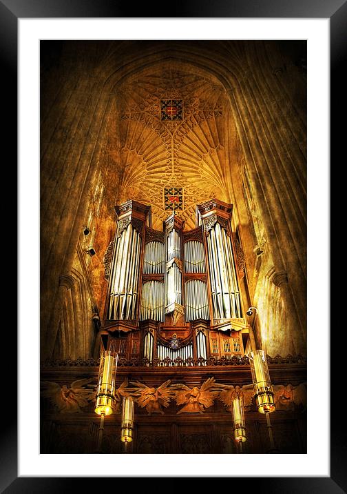 Organ Framed Mounted Print by Svetlana Sewell