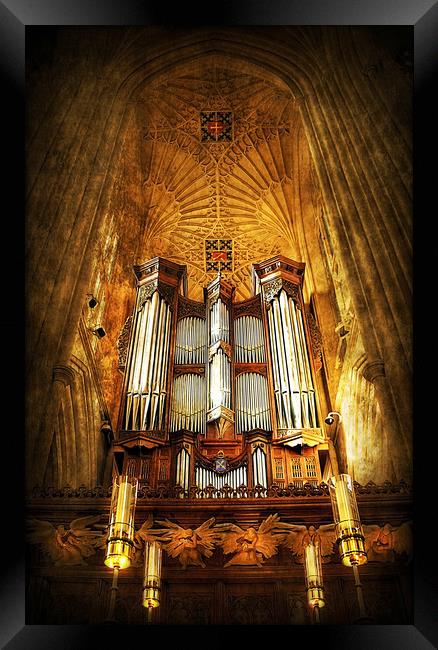 Organ Framed Print by Svetlana Sewell