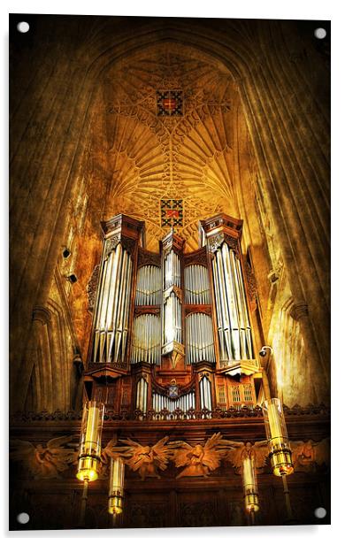 Organ Acrylic by Svetlana Sewell