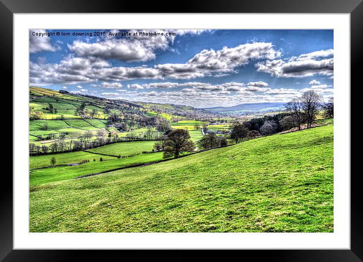  The Valley Framed Mounted Print by tom downing
