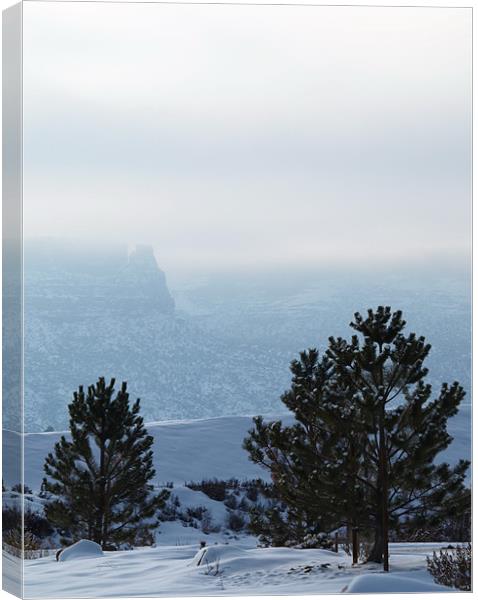 From here to the Colorado National Monument pastel Canvas Print by Patti Barrett
