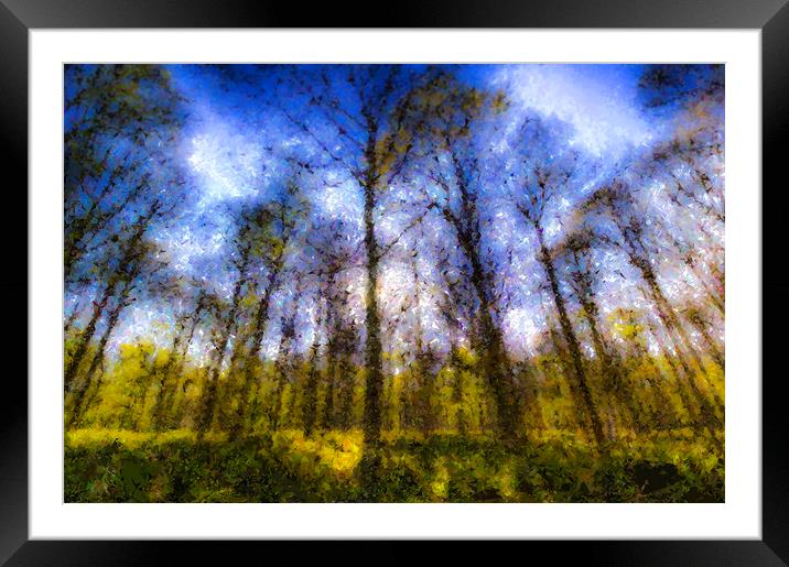 The Pastel Forest Framed Mounted Print by David Pyatt