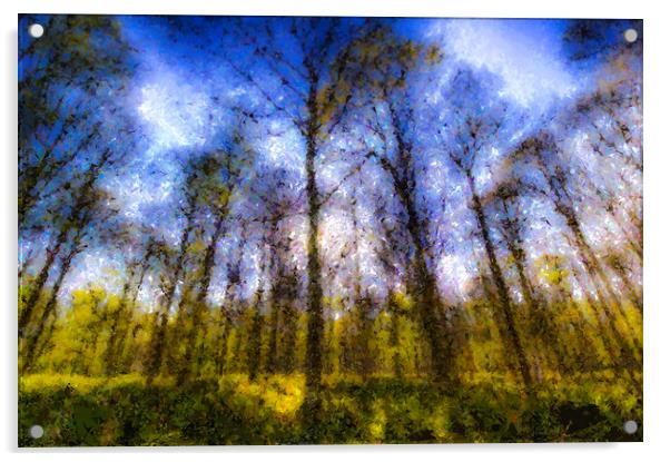 The Pastel Forest Acrylic by David Pyatt