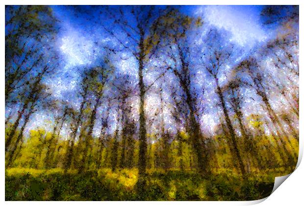 The Pastel Forest Print by David Pyatt