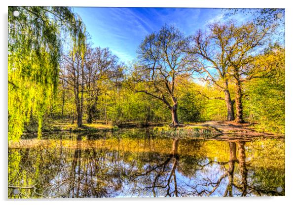 The Reflection Pond Acrylic by David Pyatt