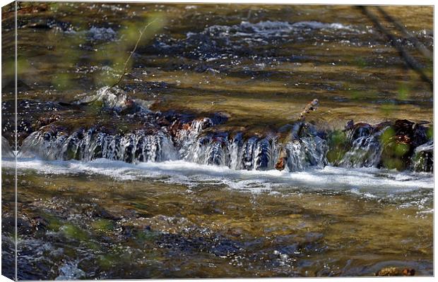 Steepness on the river near Rasinari Canvas Print by Adrian Bud