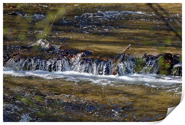Steepness on the river near Rasinari Print by Adrian Bud