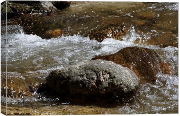 whirling water over boulders near Rasinari Canvas Print by Adrian Bud