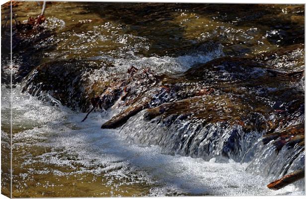 whirling water near Rasinari Canvas Print by Adrian Bud