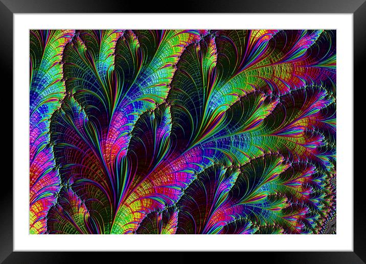 Rainbow Leaves Framed Mounted Print by Steve Purnell