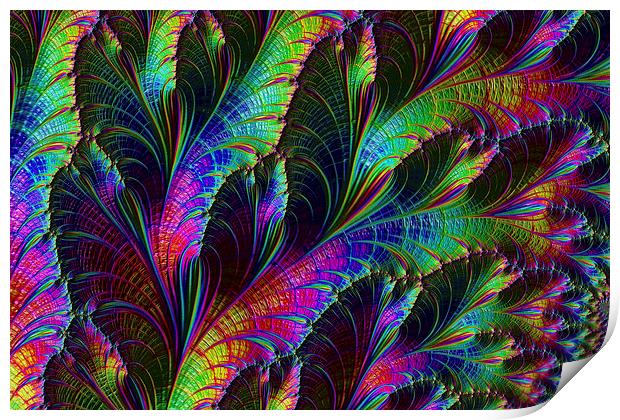 Rainbow Leaves Print by Steve Purnell