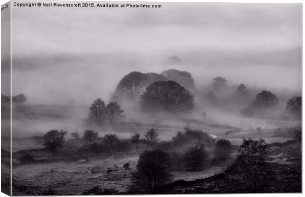  Misty morning on Curbar edge Canvas Print by Neil Ravenscroft