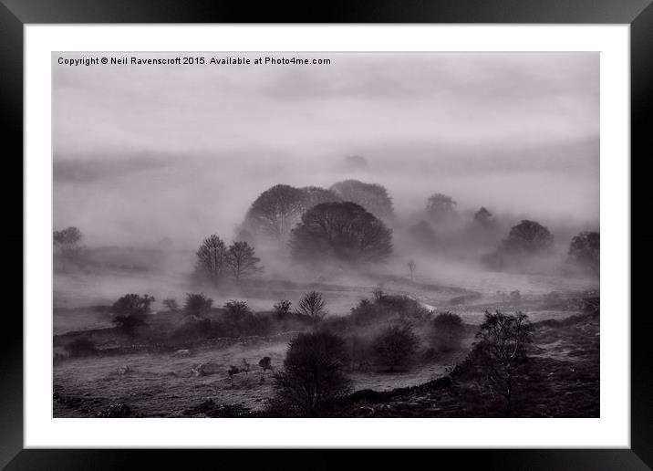  Misty morning on Curbar edge Framed Mounted Print by Neil Ravenscroft