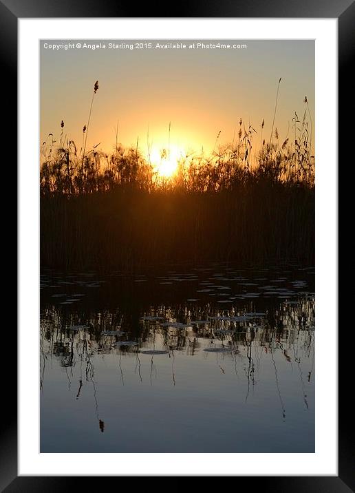  Okavango Delta Sunset Framed Mounted Print by Angela Starling