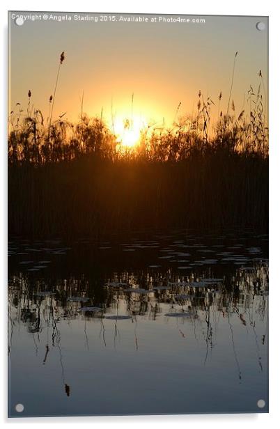  Okavango Delta Sunset Acrylic by Angela Starling
