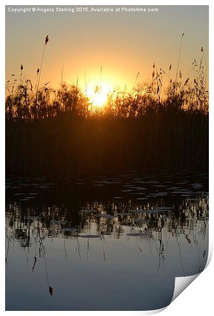  Okavango Delta Sunset Print by Angela Starling