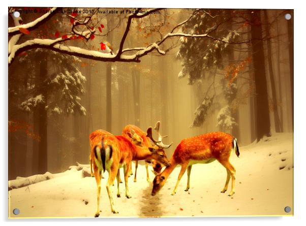  Fallow Deer Acrylic by Sharon Lisa Clarke