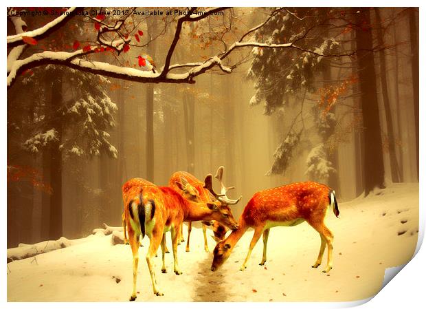  Fallow Deer Print by Sharon Lisa Clarke