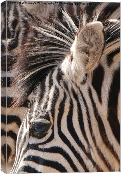 Zebra Eye Canvas Print by rawshutterbug 