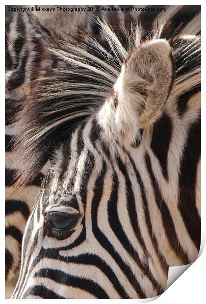 Zebra Eye Print by rawshutterbug 