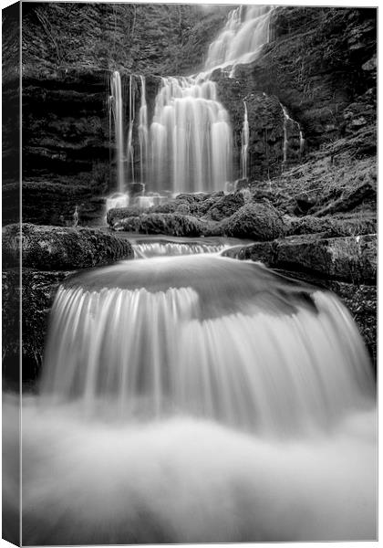  Scaleber Force in full flow Canvas Print by stuart bennett