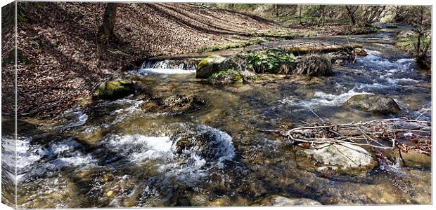 Shteaza river whirling water in Rasinari forest Canvas Print by Adrian Bud