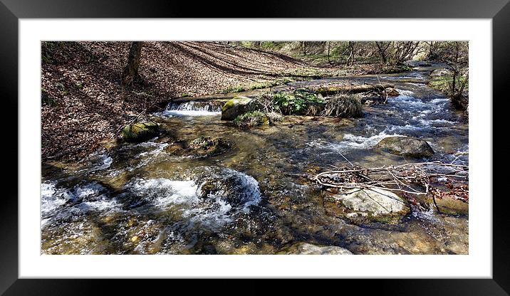 Shteaza river whirling water in Rasinari forest Framed Mounted Print by Adrian Bud