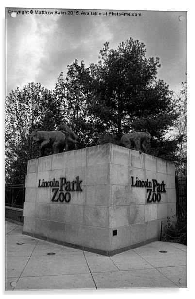 Lincoln Park Zoo Acrylic by Matthew Bates