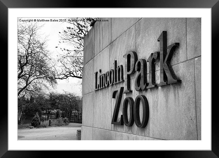 Lincoln Park Zoo Entrance Framed Mounted Print by Matthew Bates
