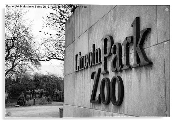 Lincoln Park Zoo Entrance Acrylic by Matthew Bates