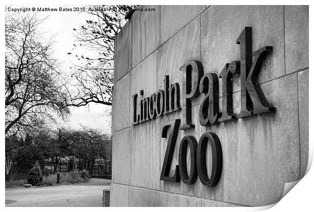 Lincoln Park Zoo Entrance Print by Matthew Bates